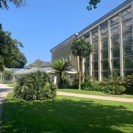 Coeur Du Centre-Ville Cherbourg-en-Cotentin Exteriér fotografie